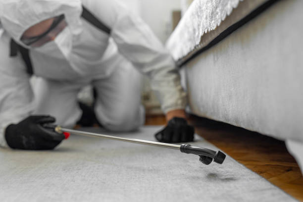 Professional Bed Bug Control technician working in Rochester, WA