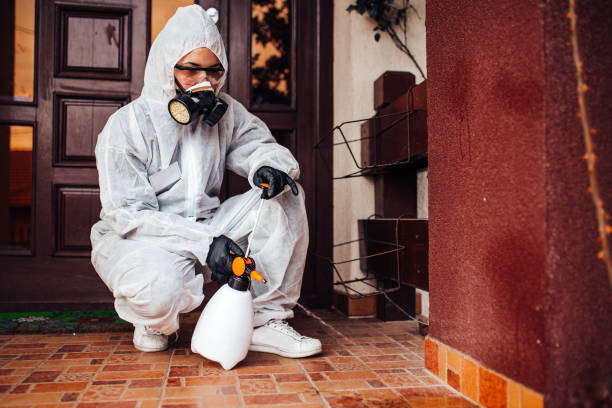 Reliable Bed Bug Control contractor in Rochester, WA by Nex Pest Control