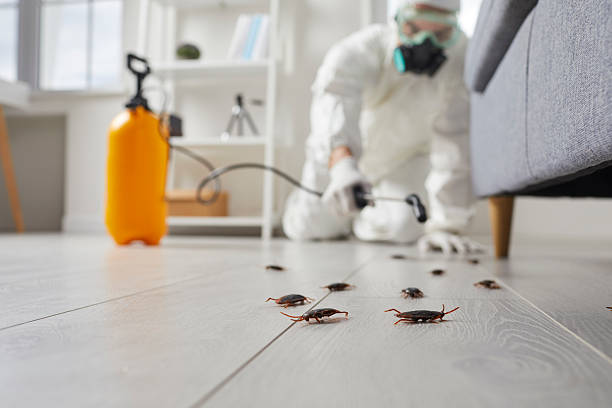 Trusted Rodent Control service in Rochester, WA - Nex Pest Control