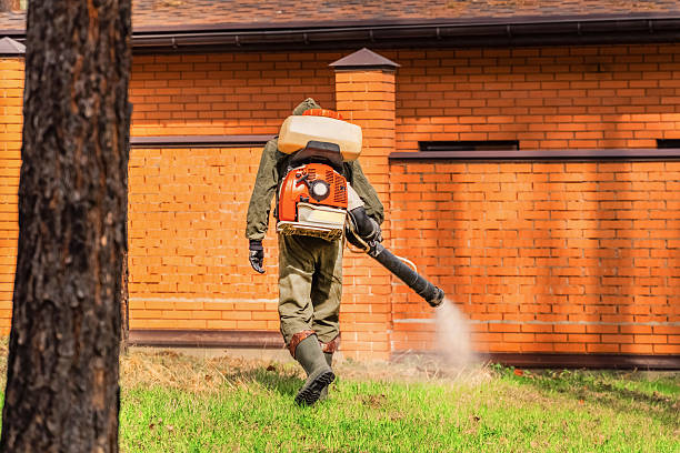 Trusted Mosquito Control service in Rochester, WA - Nex Pest Control